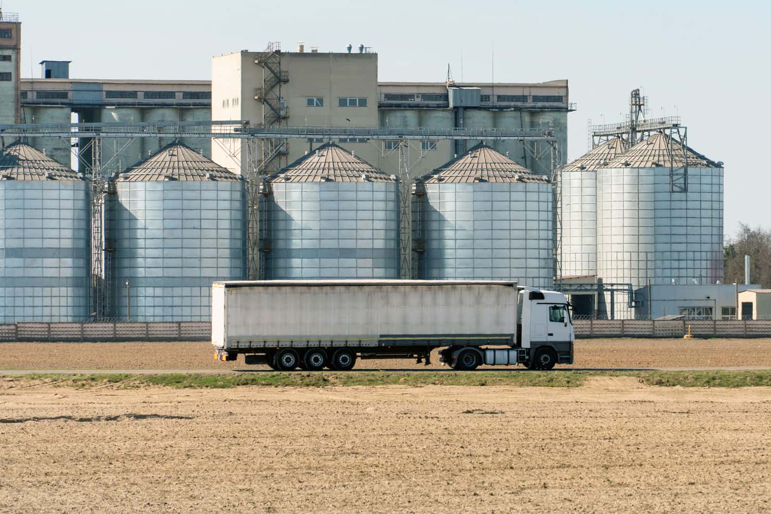 Cerealele - o comoară pentru comercianții de succes: imagini care îți deschid perspective