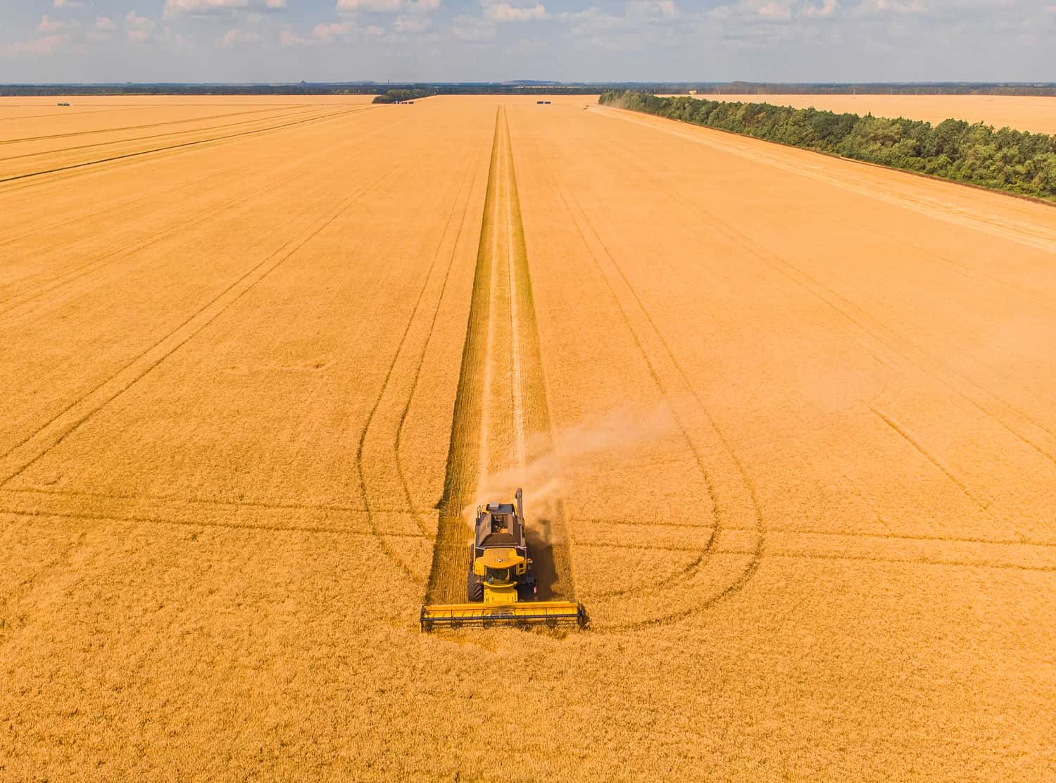 Pas cu pas spre profit: imagini ce ilustrează procesul de trade cu cereale