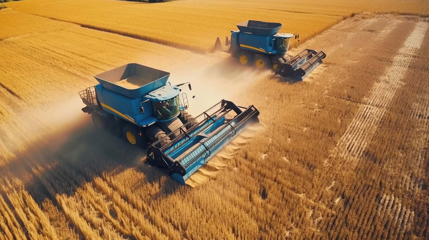 Tradiție și inovație: poze ce redau esența trade-ului cu cereale