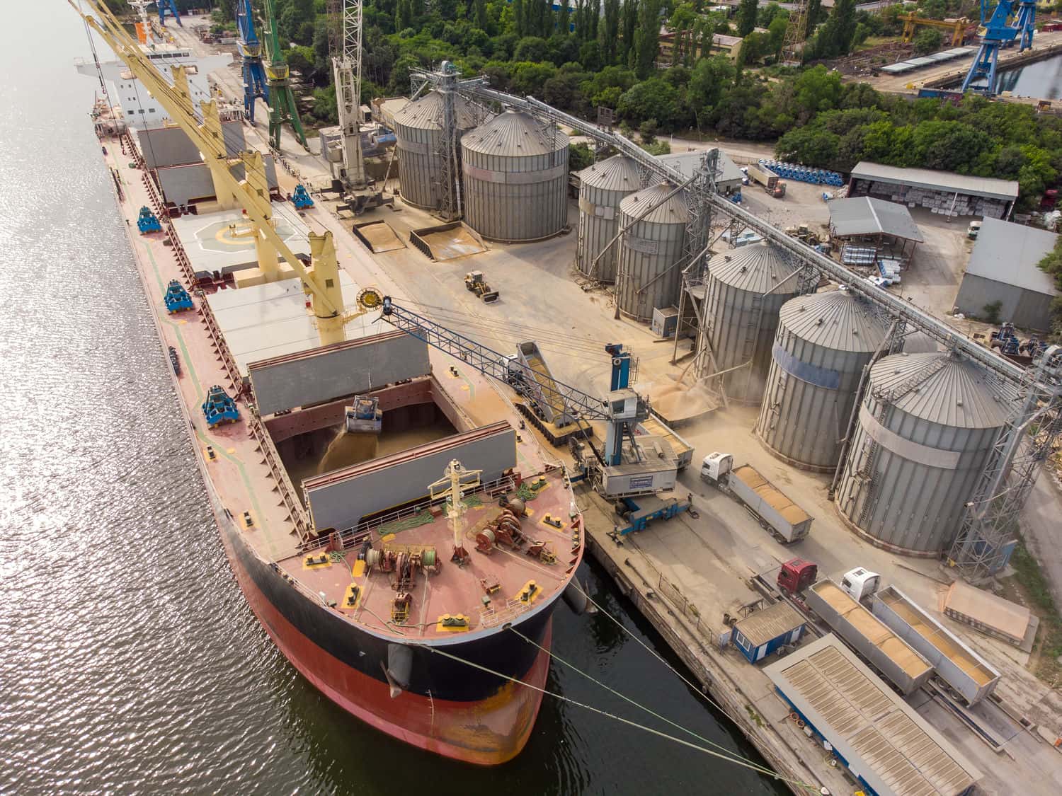 Comerțul cu cereale: poze ce transmit energia și vitalitatea agriculturii moderne